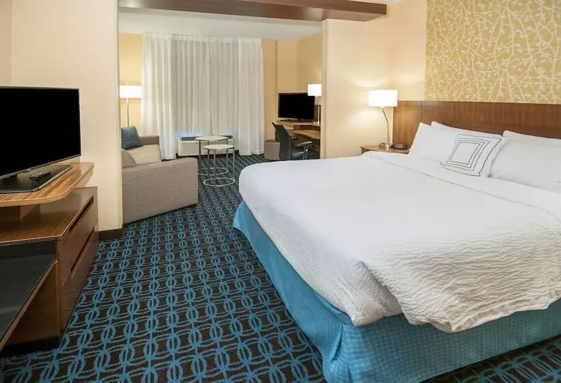 スイート, Fairfield Inn & Suites By Marriott San Antonio Brooks City Base