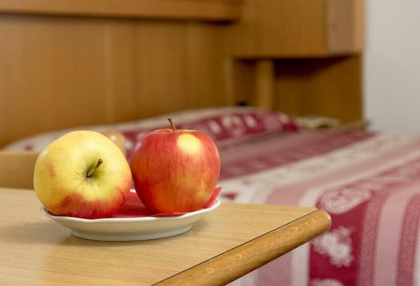 标准间, Garni Lastei