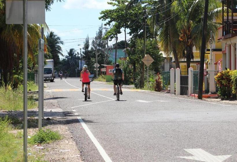 חדר סטנדרט לשלושה עם נוף לגינה, Palmento Grove Garifuna Eco Cultural & Healing Institute