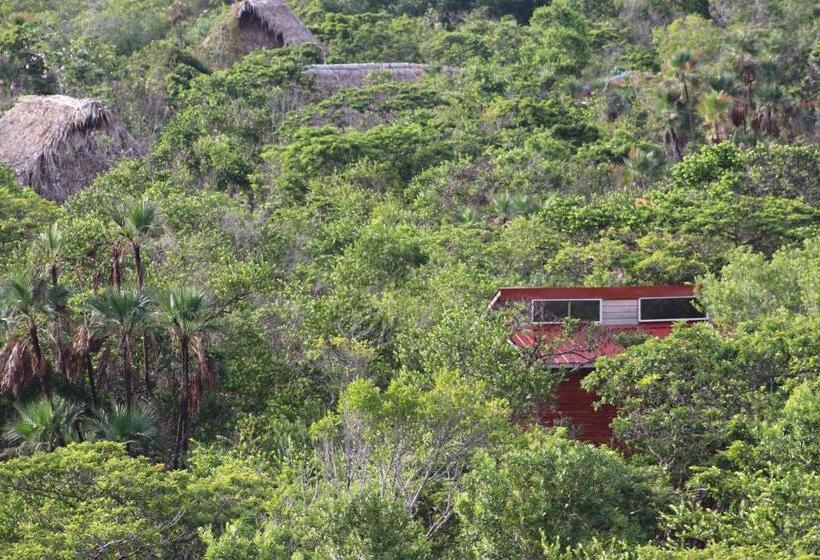 חדר סטנדרט נוף לגינה, Palmento Grove Garifuna Eco Cultural & Healing Institute