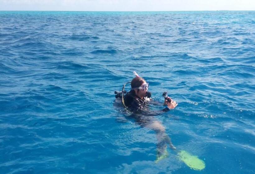 חדר סטנדרט נוף לגינה, Palmento Grove Garifuna Eco Cultural & Healing Institute