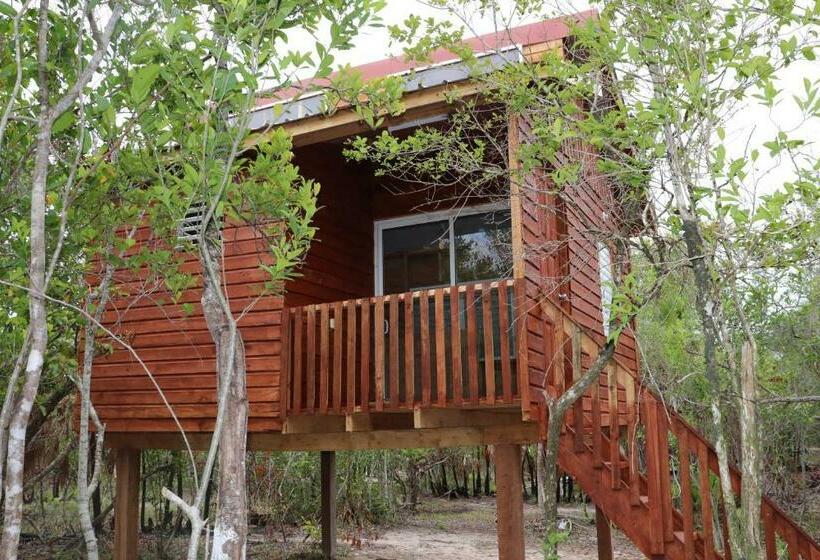 חדר סטנדרט לשלושה עם נוף לגינה, Palmento Grove Garifuna Eco Cultural & Healing Institute