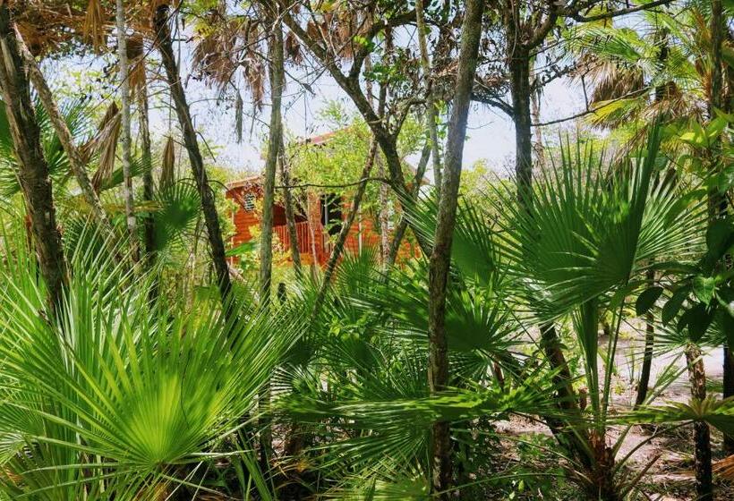 חדר סטנדרט לשלושה עם נוף לגינה, Palmento Grove Garifuna Eco Cultural & Healing Institute