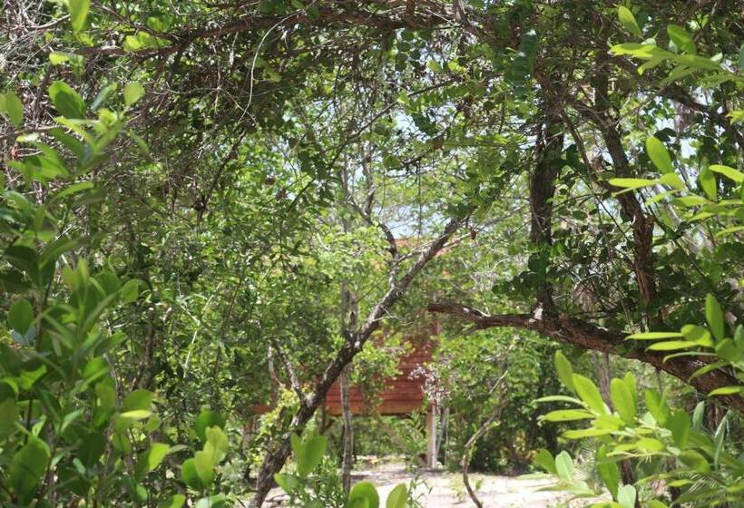 חדר סטנדרט לשלושה עם נוף לגינה, Palmento Grove Garifuna Eco Cultural & Healing Institute