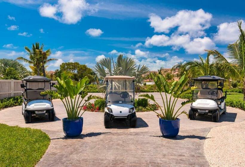 ویلای یک اتاق خوابه با استخر شنا, The Oasis At Grace Bay