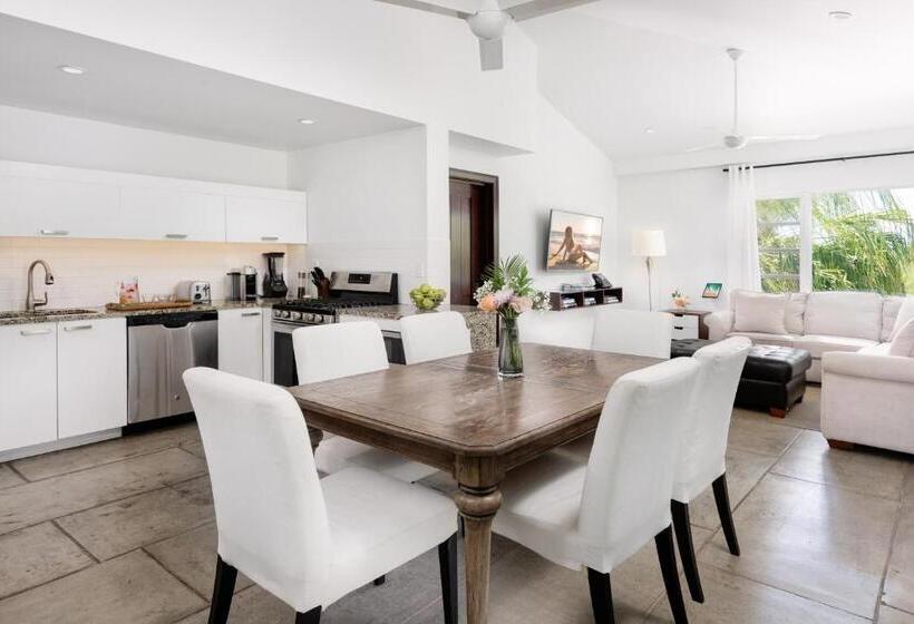 آپارتمان 1 خوابه, The Oasis At Grace Bay