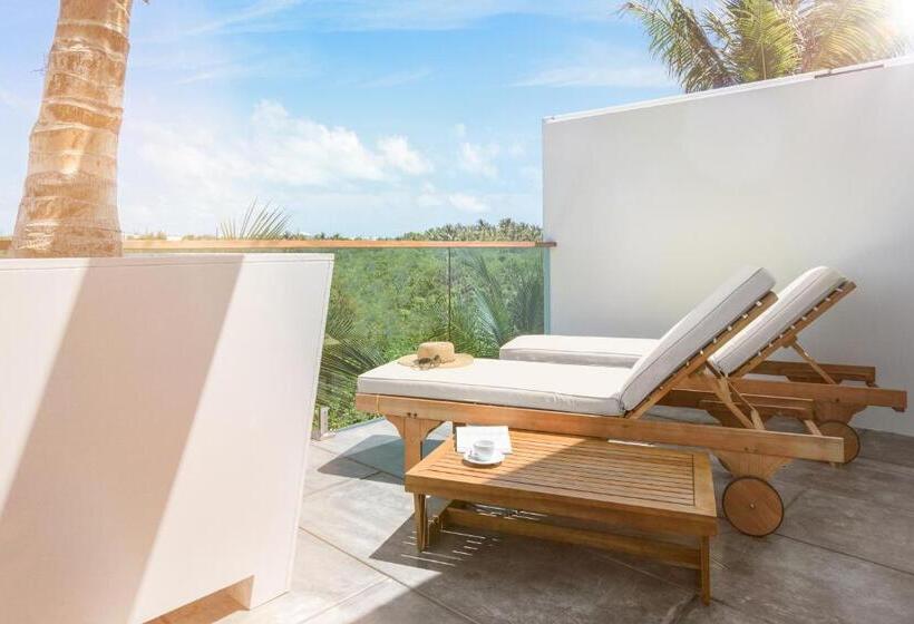 اتاق لوکس با تخت بزرگ, The Oasis At Grace Bay