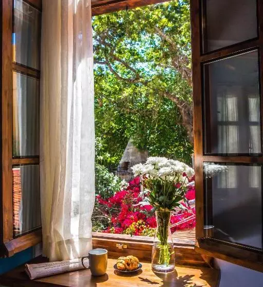 اتاق استاندارد یک نفره, Favela Living Space