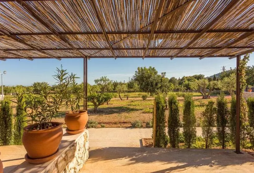 １ベッドルームアパートメント, Sa Nau Agroturismo   Adults Only