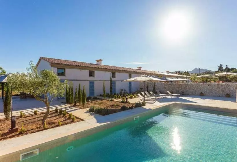 １ベッドルームドゥプレックスアパートメント, Sa Nau Agroturismo   Adults Only