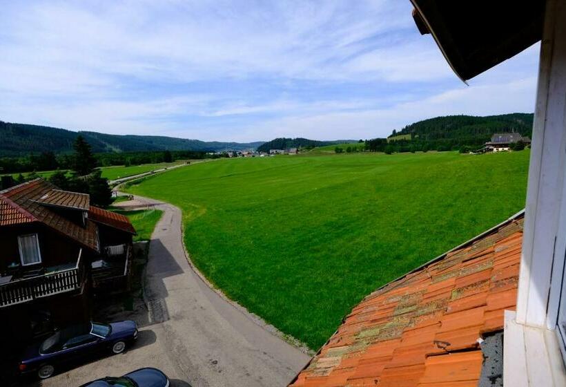 이코노미 싱글 룸, Sonnenmatte Titisee B Und B Nahe Badeparadies