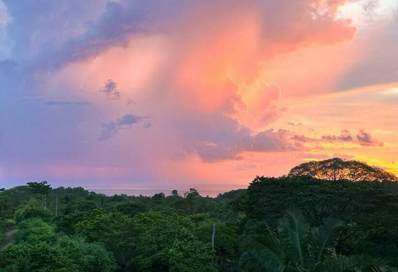 جناح سرير كينج, Las Lomas