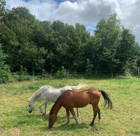 Апартаменты 3 Спальни, Wohnen Am Wasserschloss Sandizell
