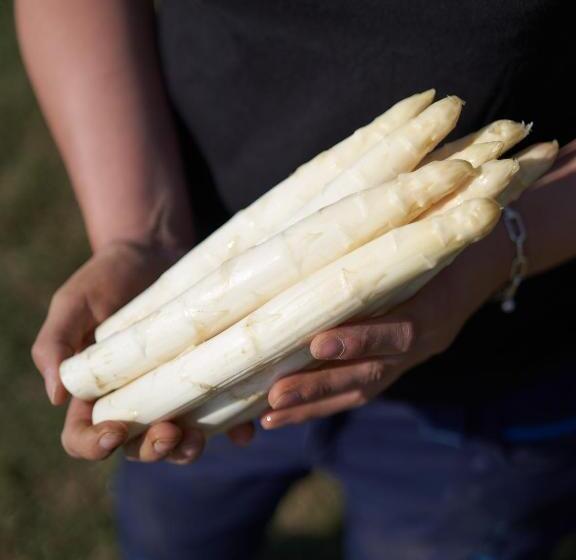 Апартаменты 3 Спальни, Wohnen Am Wasserschloss Sandizell