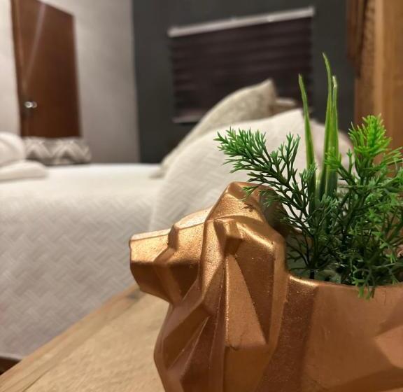 اتاق استاندارد با تراس, Bs Apart