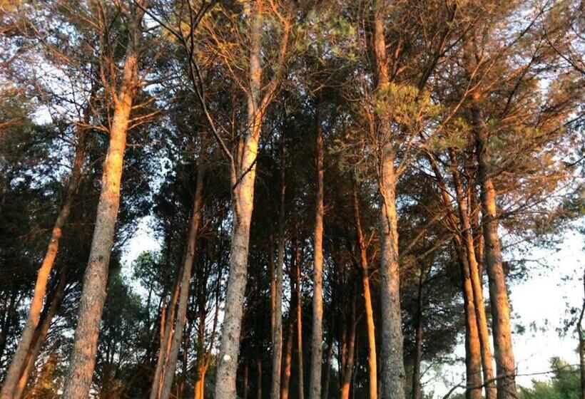 ガーデンビュースタンダードルーム, Chambre D Hôtes Dallara