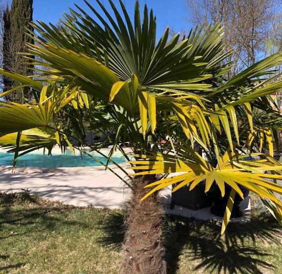 ガーデンビュースタンダードルーム, Chambre D Hôtes Dallara