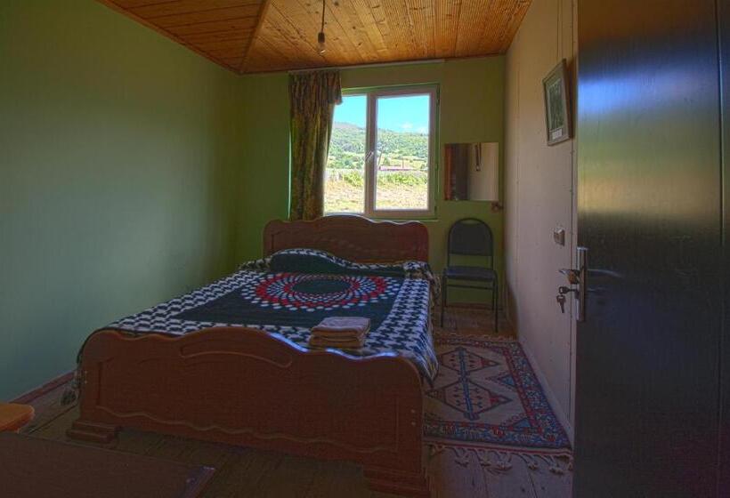 اتاق اکونومی, Hanmer Guest House