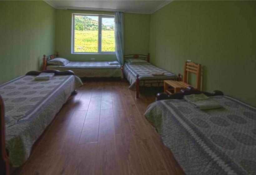 اتاق اکونومی, Hanmer Guest House