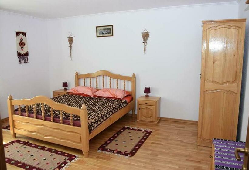 스탠다드 룸, Pensiunea Georgiana