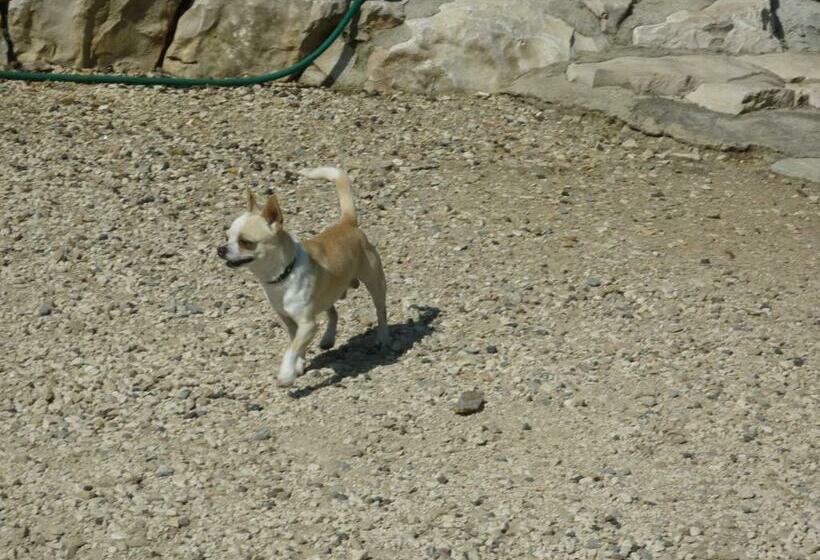 דירת פנטהאוז 1 חדרי שינה, Santa Caterina Alghero