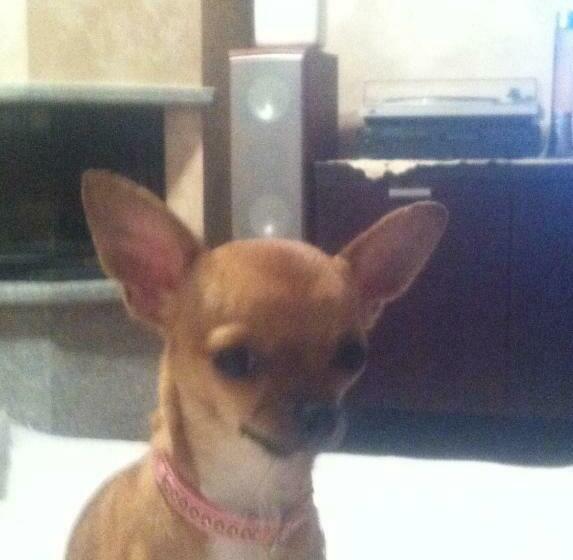 דירת חדר, Santa Caterina Alghero