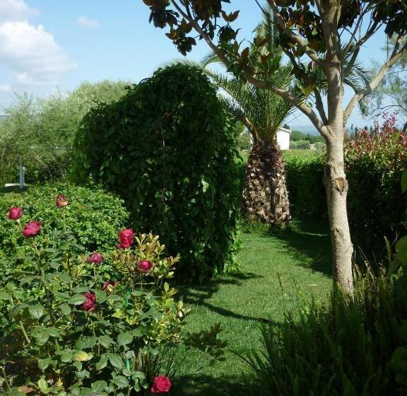 דירת פנטהאוז 1 חדרי שינה, Santa Caterina Alghero