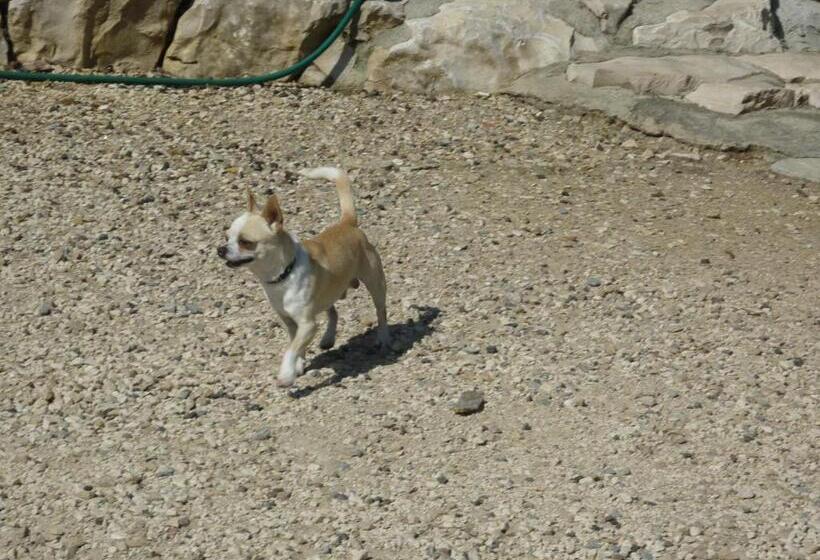 דירת חדר נוף לגינה, Santa Caterina Alghero