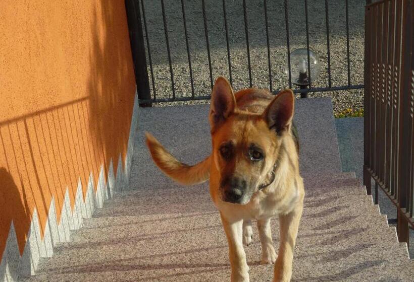 דירת חדר נוף לגינה, Santa Caterina Alghero