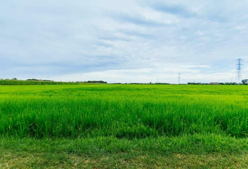 شقة غرفة واحدة, Agriturismo Cà Vendramin
