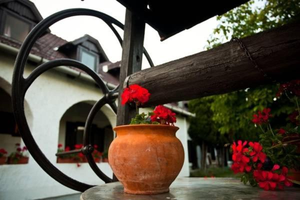 标准三人间, Elisabeth Vendégház