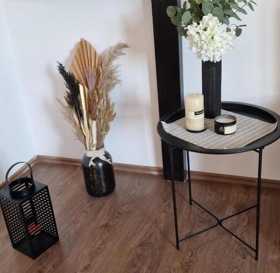 غرفة قياسية سرير كينج, Hanul Dorului