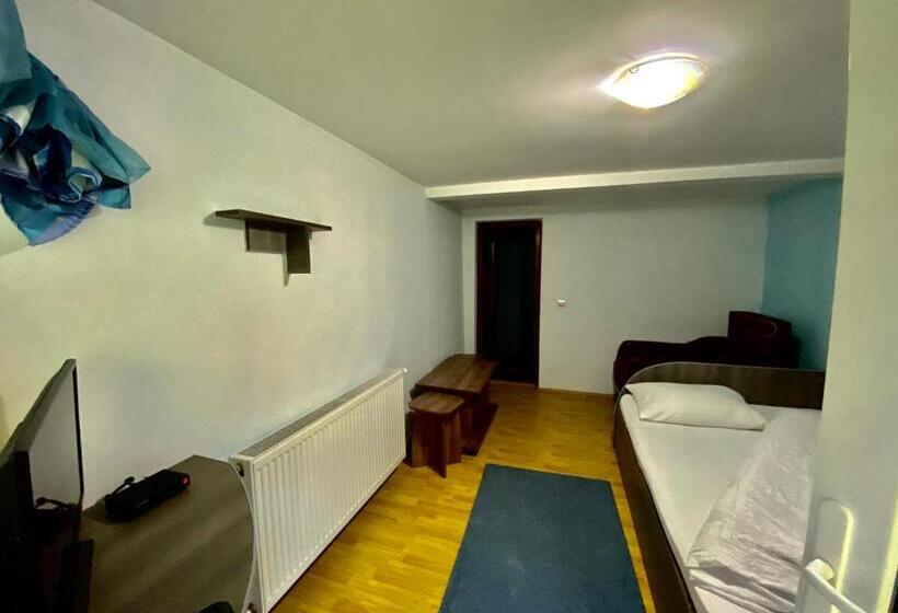 غرفة قياسية, Pensiunea Andra