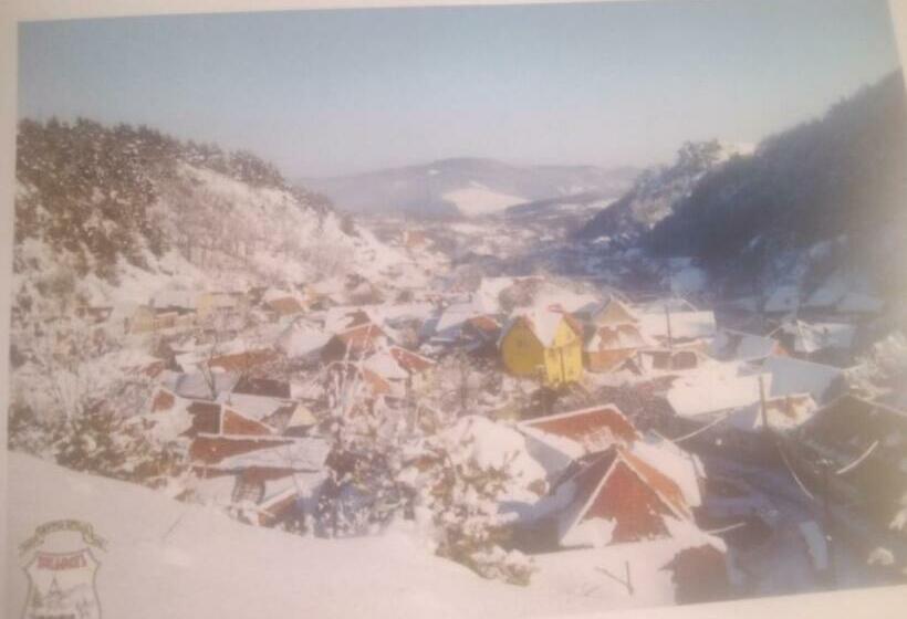 חדר סטנדרט, Pensiunea Casa Roman