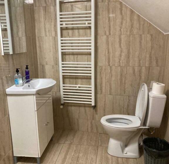 Номер Стандарт, Pensiunea Casa Roman