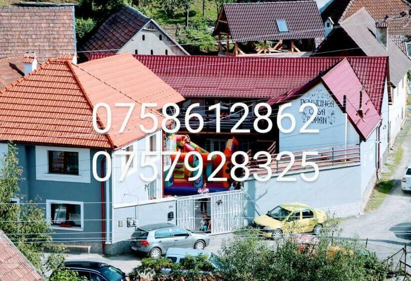 חדר סטנדרט לשלושה, Pensiunea Casa Roman