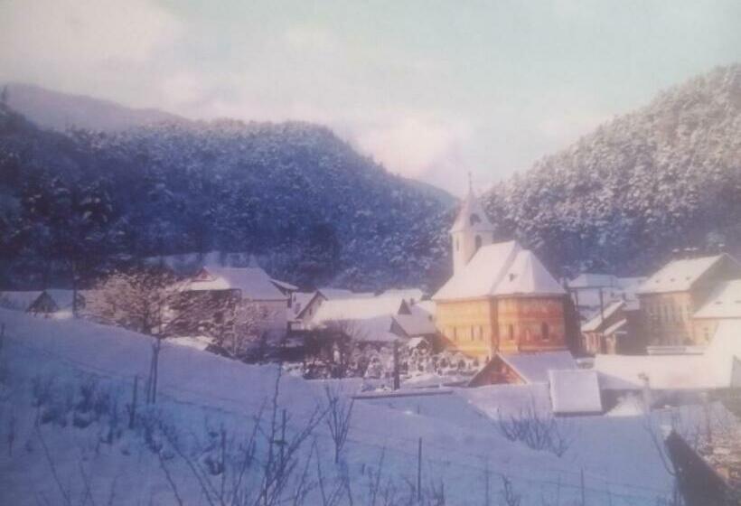 غرفة قياسية ثلاثية, Pensiunea Casa Roman