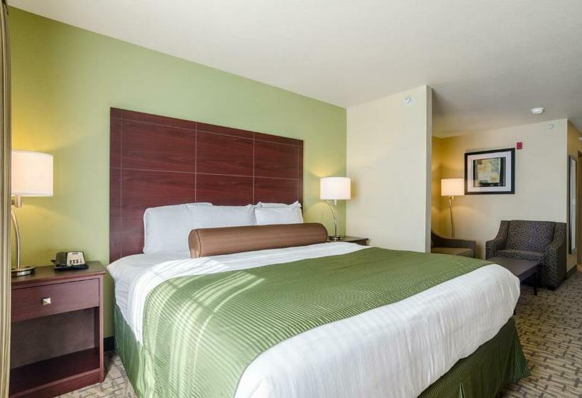 جناح سرير كينج, Cobblestone Hotel & Suites   Mccook