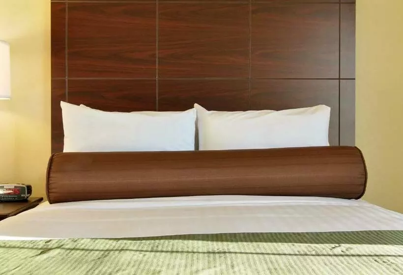 سوئیت با تخت بزرگ, Cobblestone Hotel & Suites   Mccook