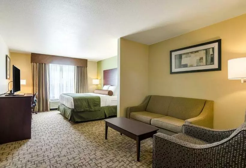 سوئیت با تخت بزرگ, Cobblestone Hotel & Suites   Mccook