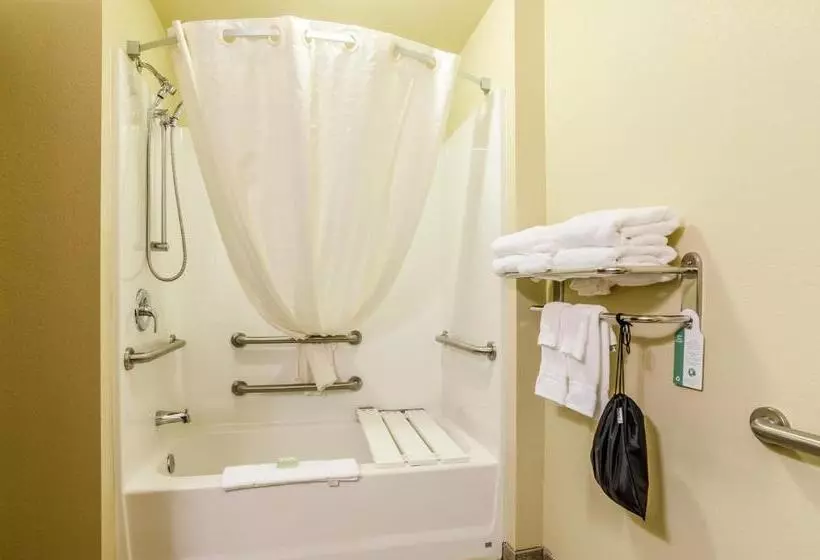 اتاق استاندارد با تخت بزرگ برای معلولان, Cobblestone Hotel & Suites   Mccook