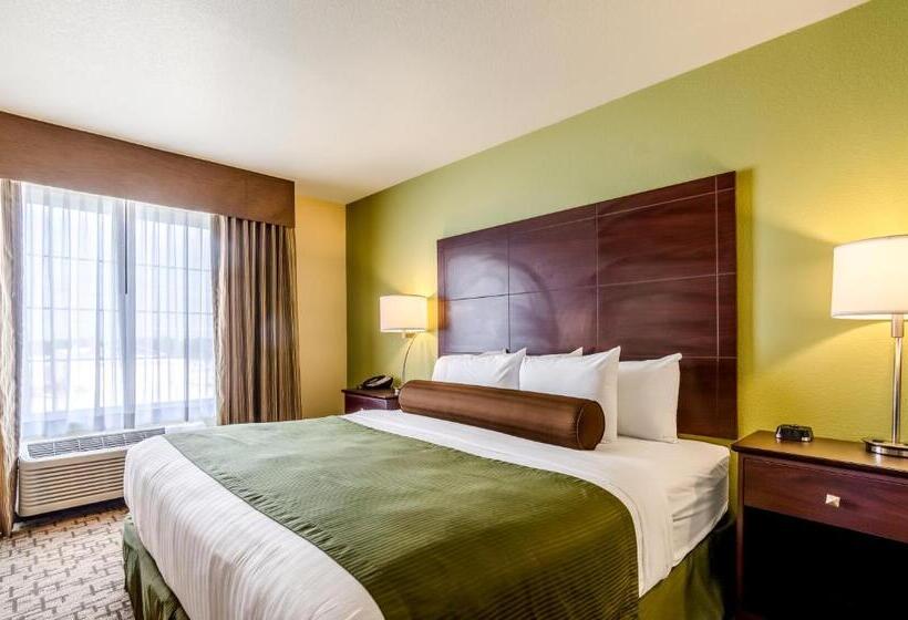 غرفة قياسية سرير كينج لذوى الإحتياجات الخاصة, Cobblestone Hotel & Suites   Mccook