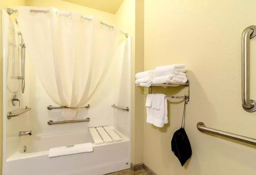 استودیوی استاندارد, Cobblestone Hotel & Suites   Mccook