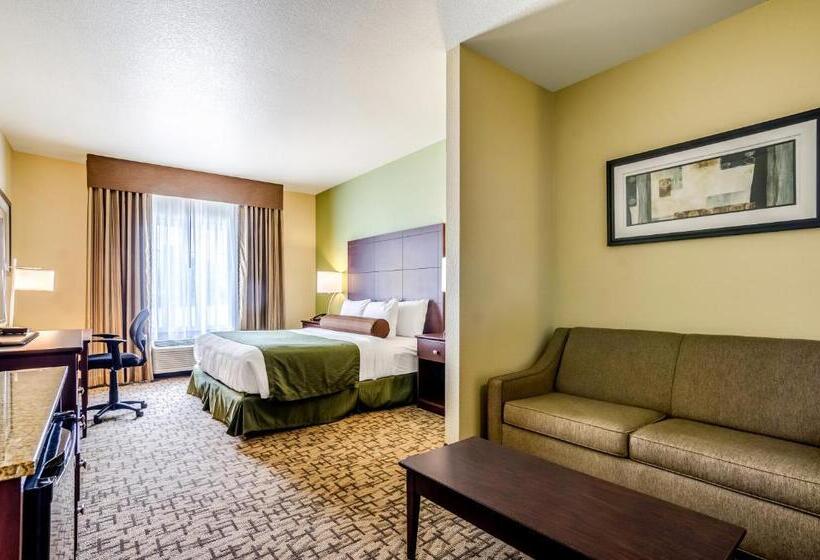 스탠다드 스튜디오, Cobblestone Hotel & Suites   Mccook