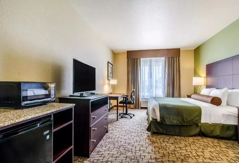 استودیوی استاندارد, Cobblestone Hotel & Suites   Mccook
