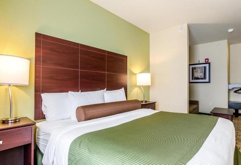 إستوديو قياسى, Cobblestone Hotel & Suites   Mccook