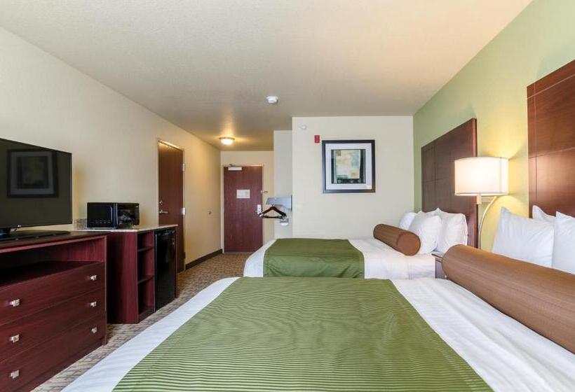 디럭스 룸, Cobblestone Hotel & Suites   Mccook