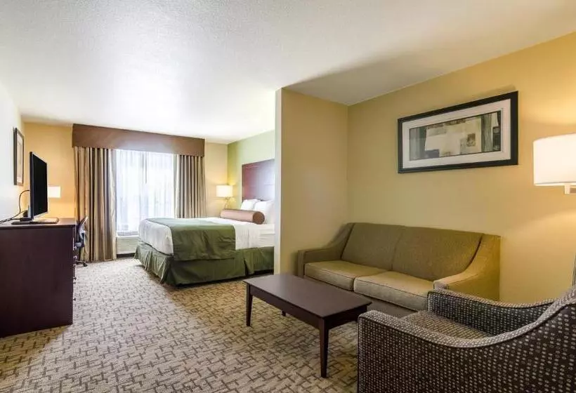 استودیو استاندارد با تخت کینگ, Cobblestone Hotel & Suites   Mccook