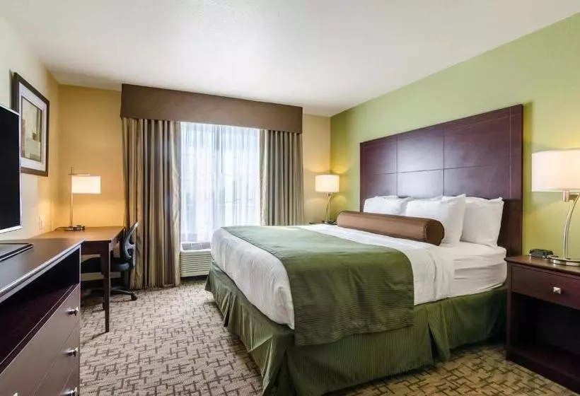 استودیو استاندارد با تخت کینگ, Cobblestone Hotel & Suites   Mccook