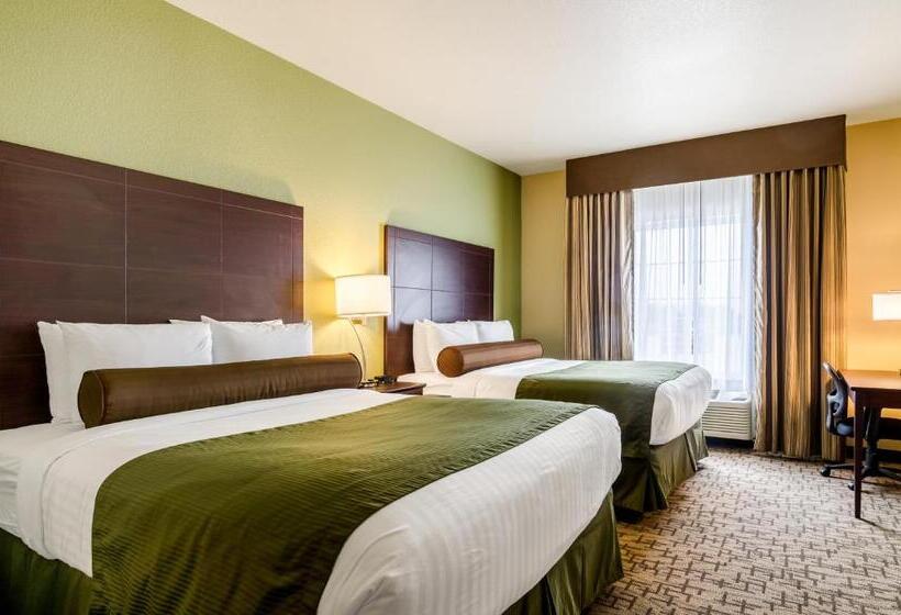 غرفة قياسية لذوى الاحتياجات الخاصة, Cobblestone Hotel & Suites   Mccook